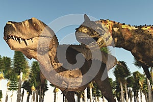 Predatory dinosaur