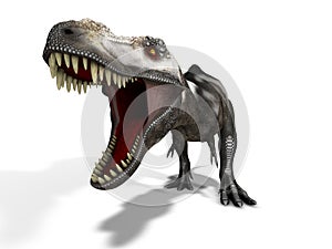 Predatory dinosaur photo