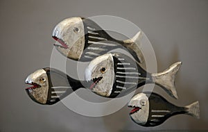 predatory fish piranha