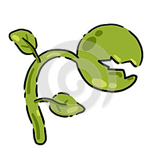 Predatory plant. Venus flytrap. Flycatcher flower character with teeth. Exotic tropical plant.