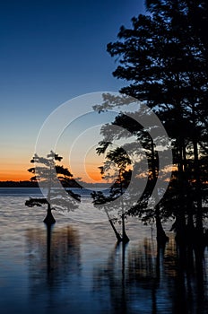 Predawn reflections, Reelfoot Lake, Tennessee