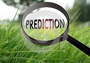 Prediction photo