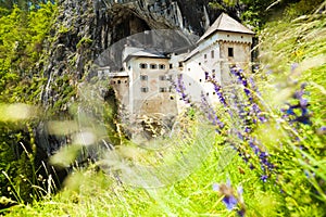 Predjama castle with flowers on foreground