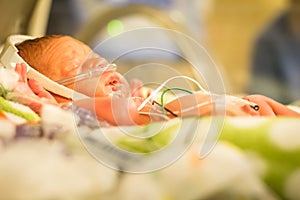 Preemie baby girl sleeping in the incubator