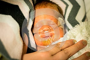 Preemie baby girl sleeping in the incubator