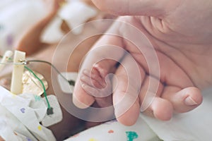 Preemie holding dads finger