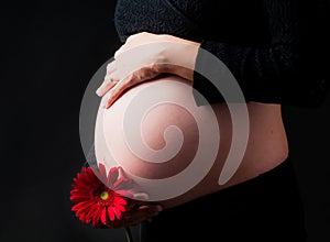 Pregnance hands on the mommies belly