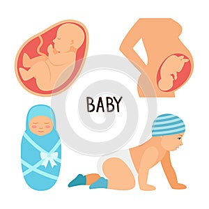 Pregnancy and baby vector illustration. Fetus unborn, newborn child