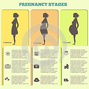 Pregnancy and birth infographics, pregnancy stages