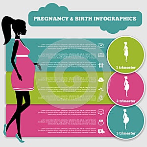 Pregnancy and birth infographics and stages