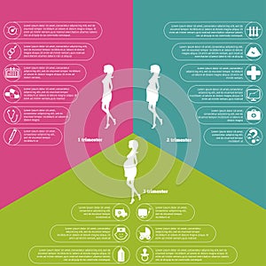 Pregnancy and birth infographics and stages