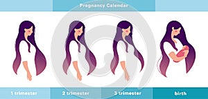 Pregnancy calendar, main stages. A pregnant woman in the 1st, 2nd, 3rd trimester of pregnancy and with a newborn in her arms. Info