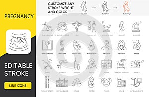 Pregnancy and childbirth line icon set in vector, illustration of family planning center, prenatal diagnosis and embryo