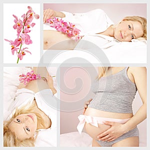 Pregnancy collage