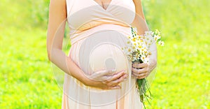 Pregnancy concept - pregnant woman with chamomiles flowers on belly close-up over sunny summer