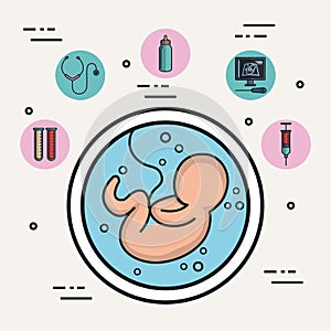 pregnancy growth baby fetus development amniotic