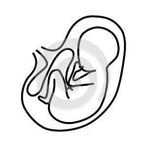 Pregnancy icon. An unborn baby in the womb. Linear stash.