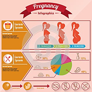 Pregnancy infographic design