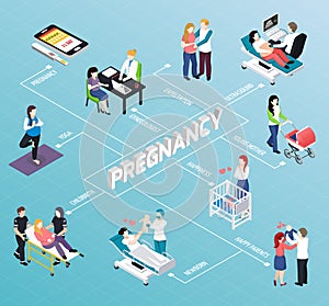 Pregnancy Isometric Flowchart