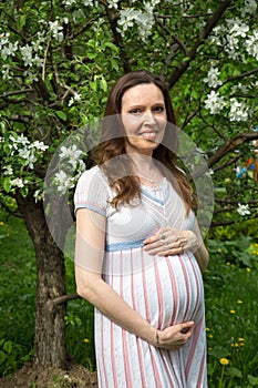 Pregnancy, motherhood, the concept of waiting-close - up of a happy pregnant woman with a big belly at a flowering Apple tree,