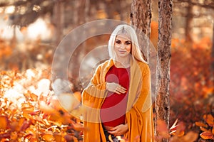 Pregnancy. Motherhood. Pregnant woman hugging her belly enjoying in autumn forest park. Beautiful blond woman in red knit sweater