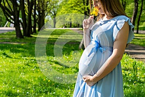 Pregnancy nature woman walk. Happy maternity mother in summer park. Baby belly. Pregnant walking nature. Concept