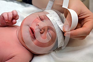 Pregnancy - Newborn baby head circumference photo