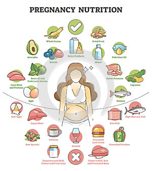 Pregnancy nutrition with recommendation female food products outline concept