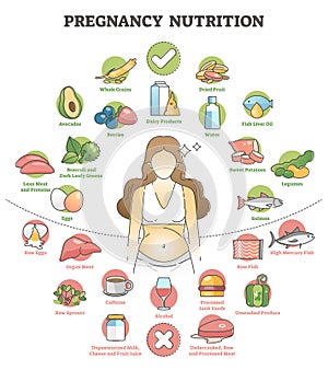 Pregnancy nutrition with recommendation female food products outline concept photo