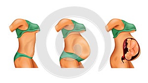 Pregnancy profile view