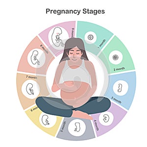 Pregnancy stage info-graphic illustration