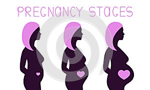 Pregnancy stages infographics