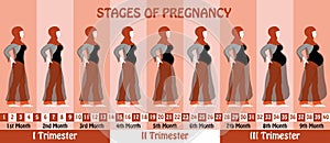 Pregnancy stages of pregnant muslim woman with hijab and transparent long dress