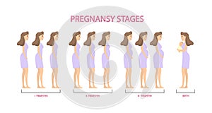 Pregnancy stages set.