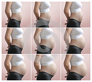 Pregnancy Step by Step