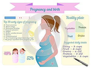 Pregnancy trimester infographic vector photo