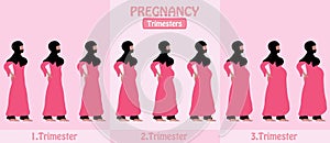 Pregnancy Trimesters of pregnant muslim woman with religious veil hijap