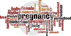 Pregnancy word cloud