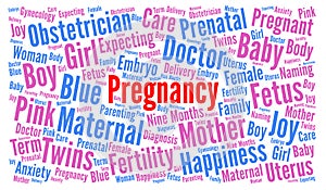 Pregnancy word cloud
