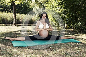 Pregnancy Yoga Instructor Outdoor Woman