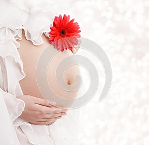 Pregnant Belly Flower, Woman Pregnancy Maternity Concept