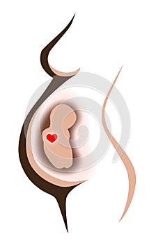 Pregnant belly illustration