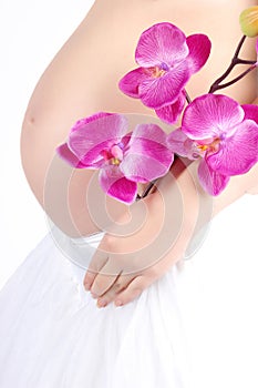 Pregnant belly with pink orchid flowers