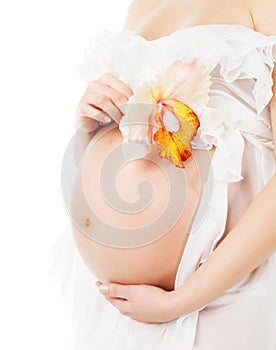 Pregnant belly, pregnancy woman stomach with flower
