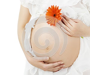 Pregnant belly, pregnancy woman stomach with flower