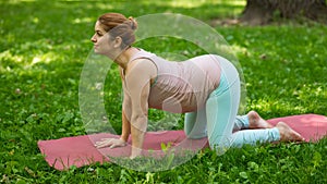 Pregnant caucasian woman doing yoga in the park. Pose cat-cow.