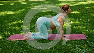 Pregnant caucasian woman doing yoga in the park. Pose cat-cow.