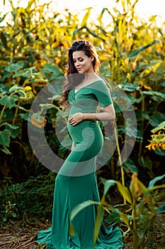 Pregnant european woman in a field of sunflowers, beautiful young european woman waiting for a child, prenant woman with