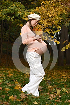 Pregnant female & autumn