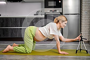 Pregnant Female Doing Cat Pose Marjariasana Exercise At Home, Watching Video Online Lesson